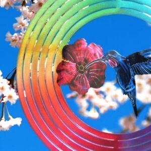 Humming Bird Wind Spinner