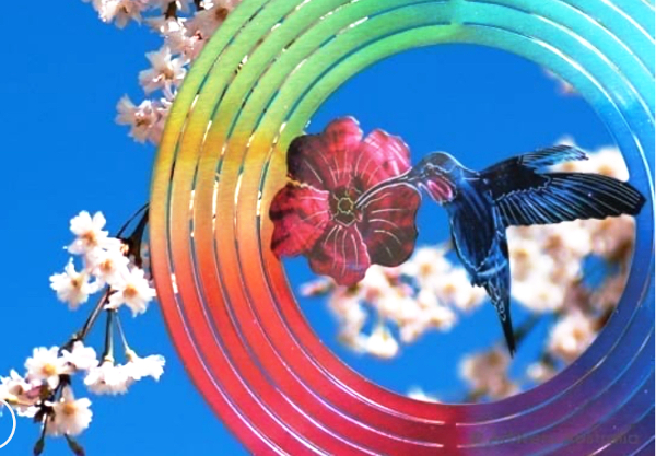 Humming Bird Wind Spinner