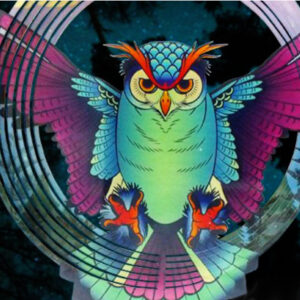 Midnight Owl Wind Spinner